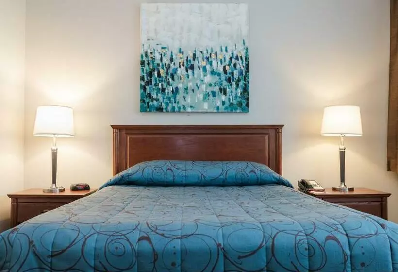 اتاق استاندارد, Adam S Airport Inn