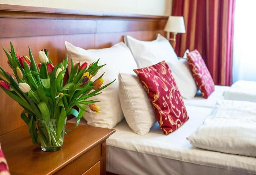 컴포트 룸, City Pension Stephansplatz I Self Check In