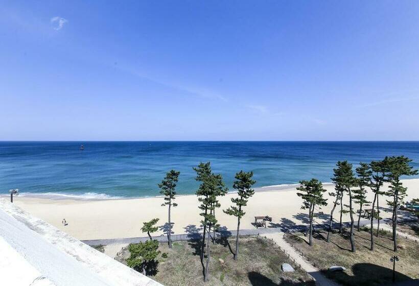 스탠다드 룸 바다 전망, Gyeongpo Soo