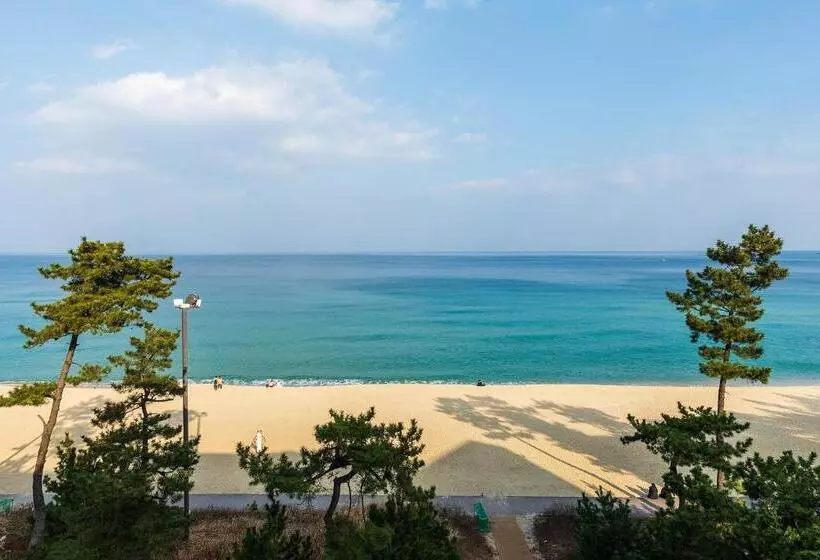 オーシャンビューファミリールーム, Gyeongpo Soo