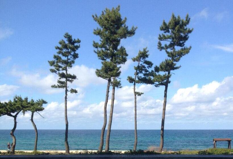 Triple Room Sea View, Gyeongpo Soo