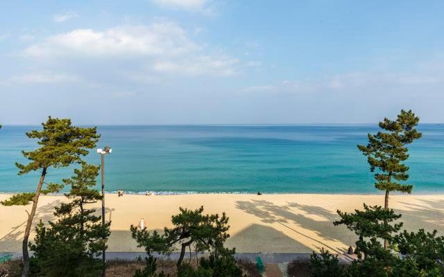 디럭스 패밀리 룸, Gyeongpo Soo