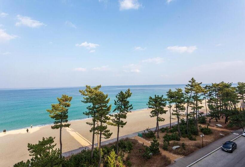 패밀리 룸 바다 전망, Gyeongpo Soo