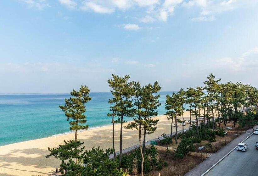 Triple Room Sea View, Gyeongpo Soo