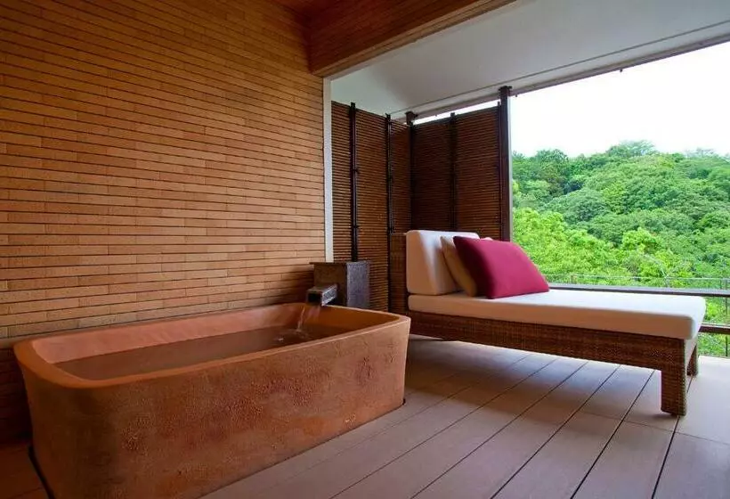Suite, Hanashinsui