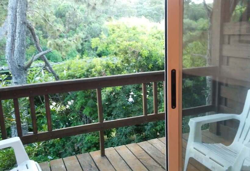 スタンダードトリプルルーム, La Pedrera