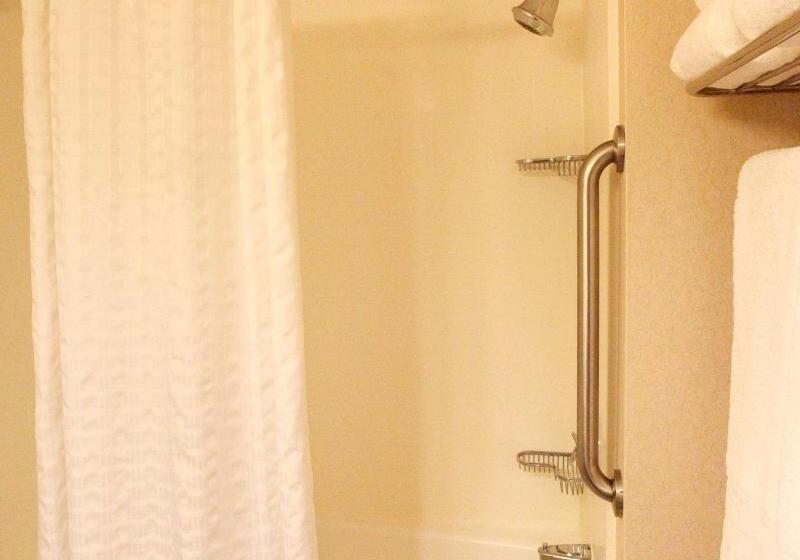 Номер Deluxe, Mystays Premier Kanazawa