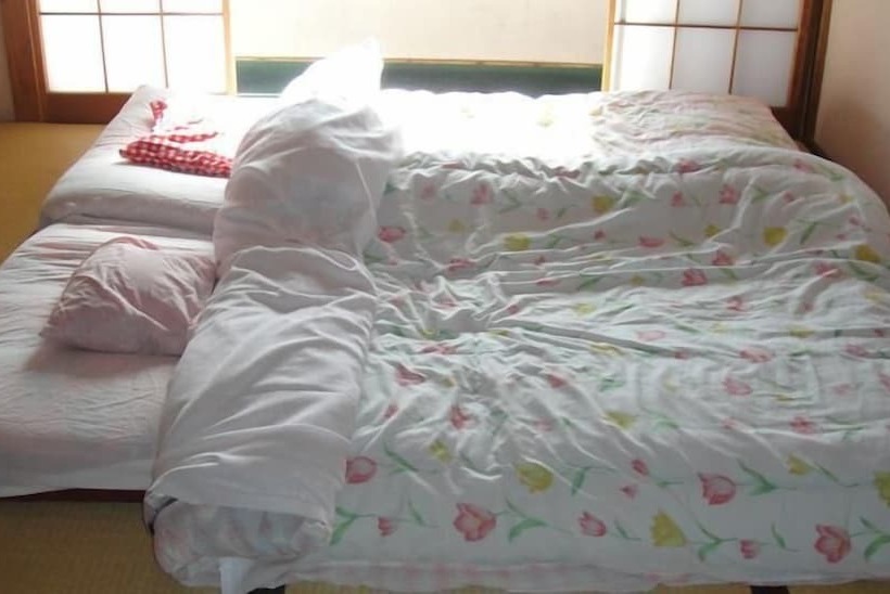 اتاق استاندارد سه نفره, Narusawa Lodge