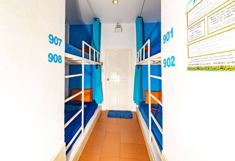 تختخواب در اتاق مشترک, Shiralea Backpackers Resort