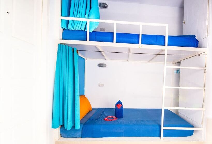 تختخواب در اتاق مشترک, Shiralea Backpackers Resort