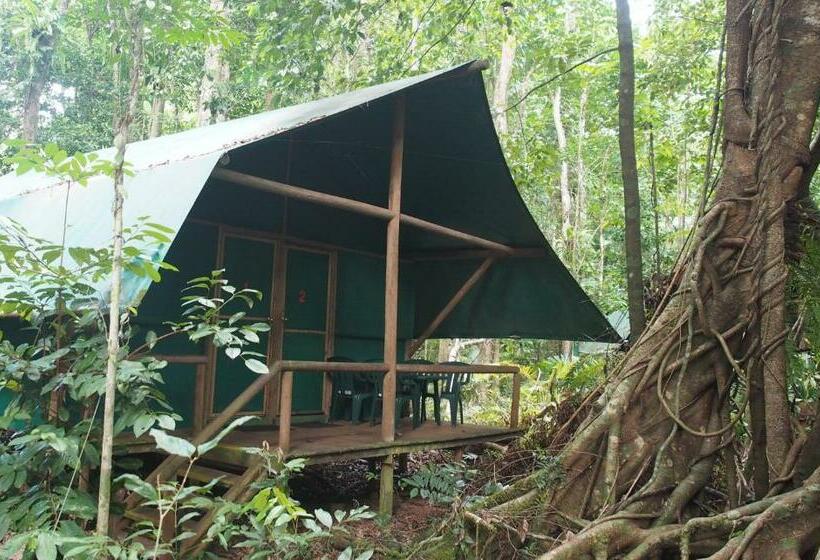 Номер Стандарт Совместная Ванная, Daintree Crocodylus