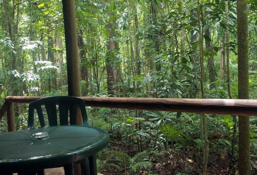 Номер Стандарт Совместная Ванная, Daintree Crocodylus