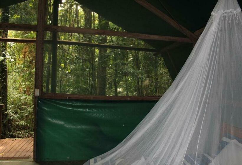 Номер Стандарт Совместная Ванная, Daintree Crocodylus