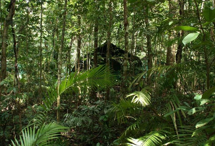 Номер Стандарт Совместная Ванная, Daintree Crocodylus