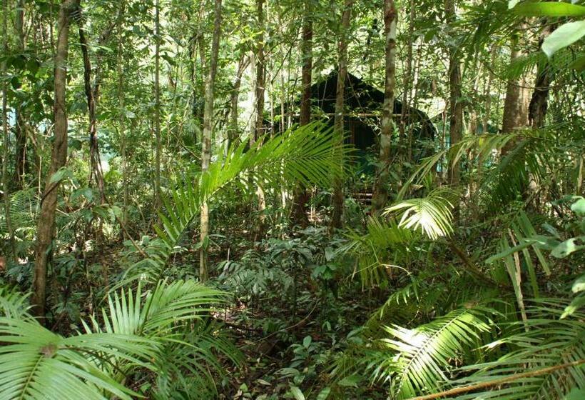Номер Стандарт Совместная Ванная, Daintree Crocodylus