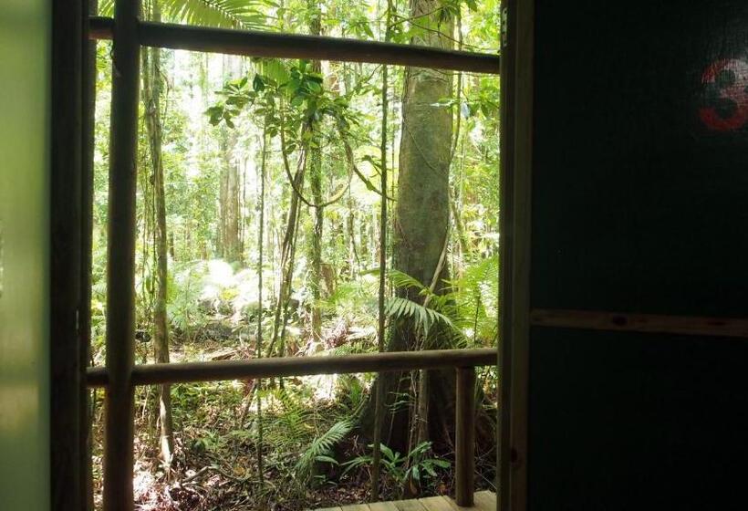 Номер Стандарт Совместная Ванная, Daintree Crocodylus