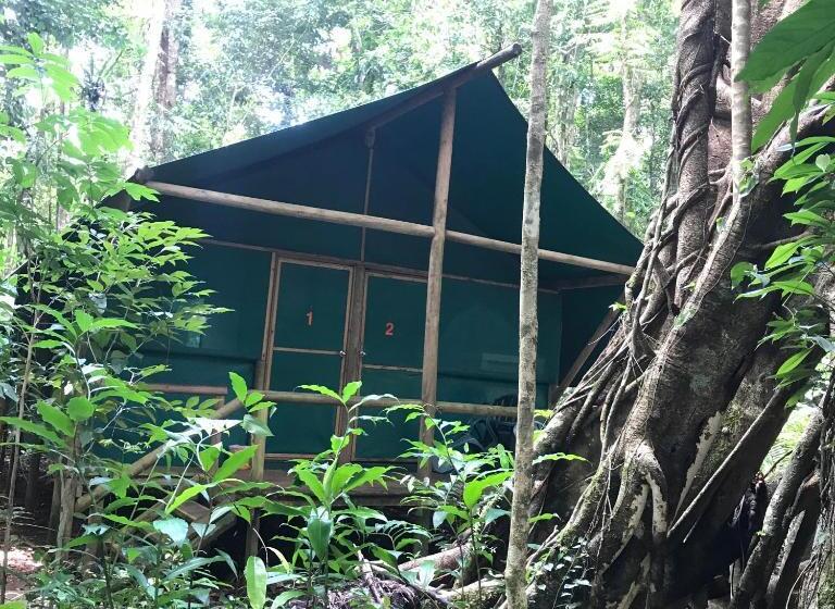 Номер Стандарт Совместная Ванная, Daintree Crocodylus