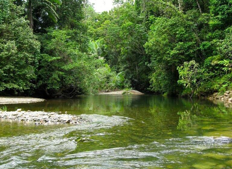 Хижина, Daintree Crocodylus