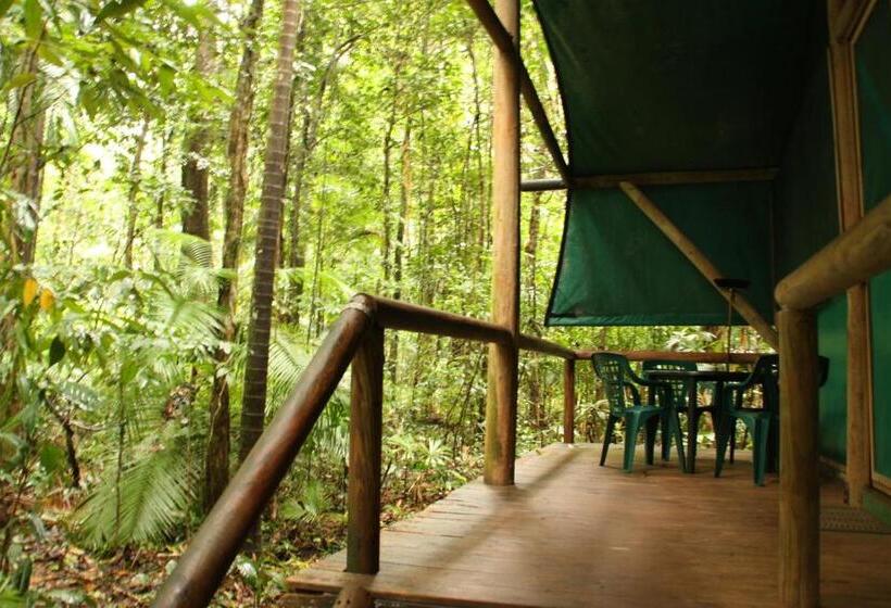 Хижина, Daintree Crocodylus