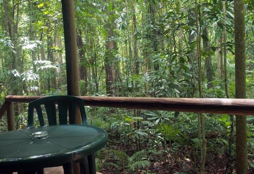 Бунгало Стандарт, Daintree Crocodylus