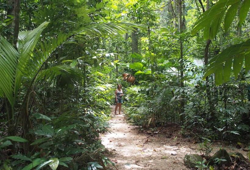 Family Suite, Daintree Crocodylus