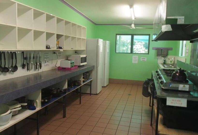 Family Suite, Daintree Crocodylus