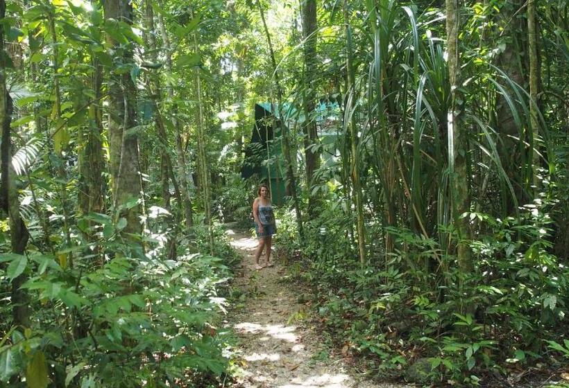 Family Suite, Daintree Crocodylus