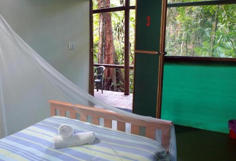 Family Suite, Daintree Crocodylus