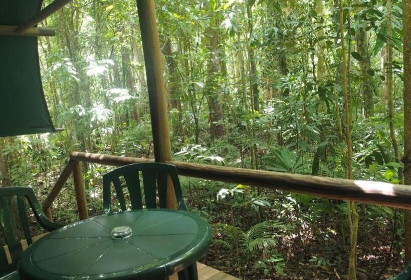 Family Suite, Daintree Crocodylus