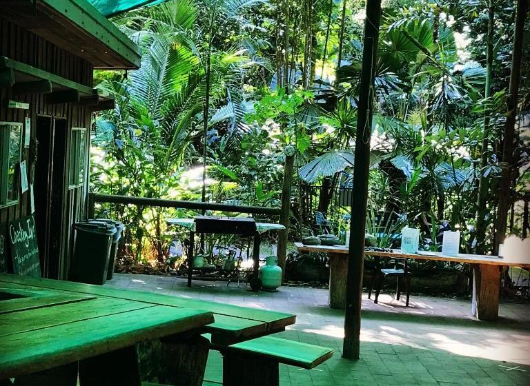 Family Suite, Daintree Crocodylus