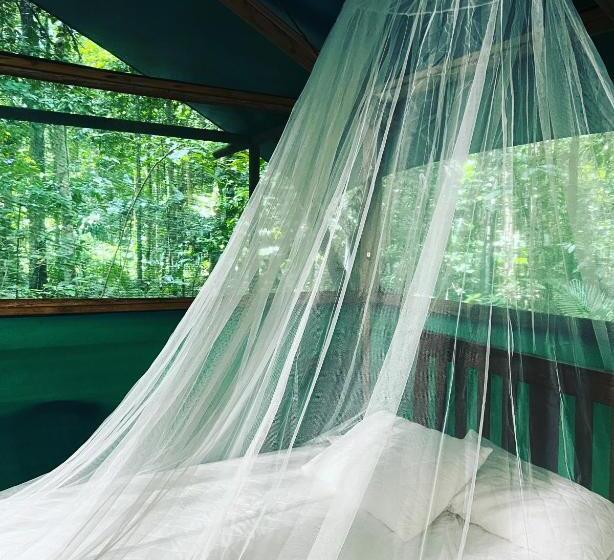 Family Suite, Daintree Crocodylus