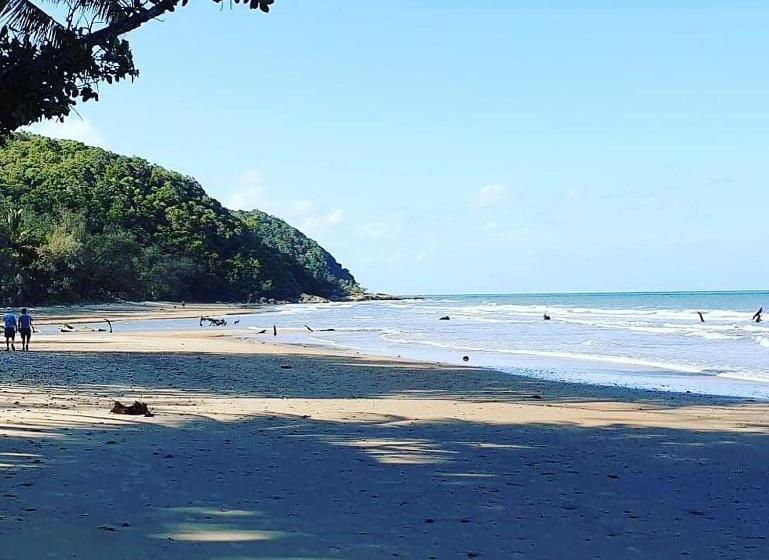 Family Suite, Daintree Crocodylus