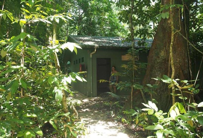 Family Suite, Daintree Crocodylus