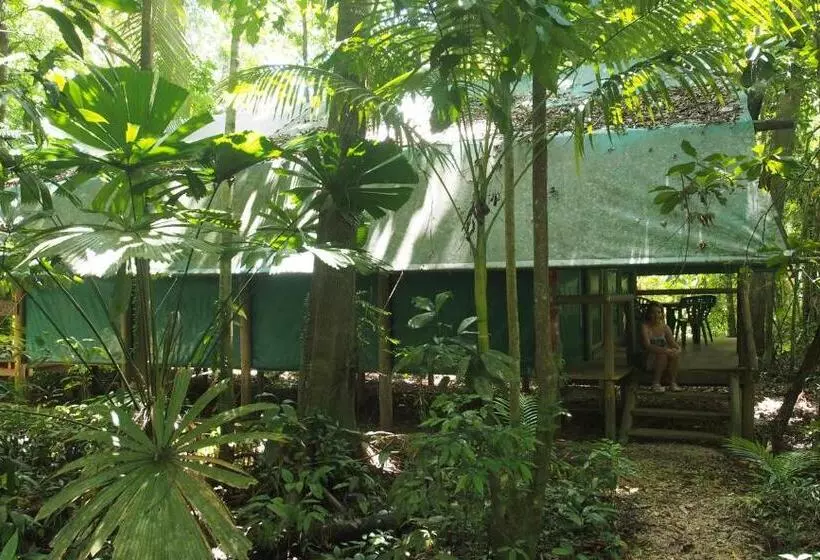 スイート(家族用), Daintree Crocodylus