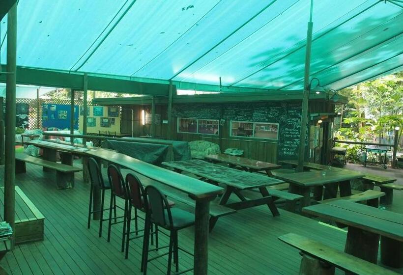 Family Suite, Daintree Crocodylus