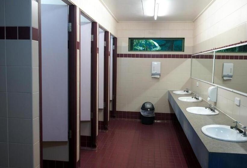 Family Suite, Daintree Crocodylus