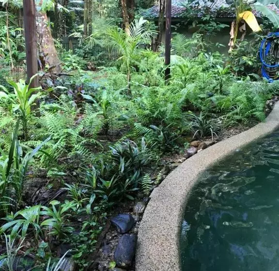 スタンダードバンガロー, Daintree Crocodylus