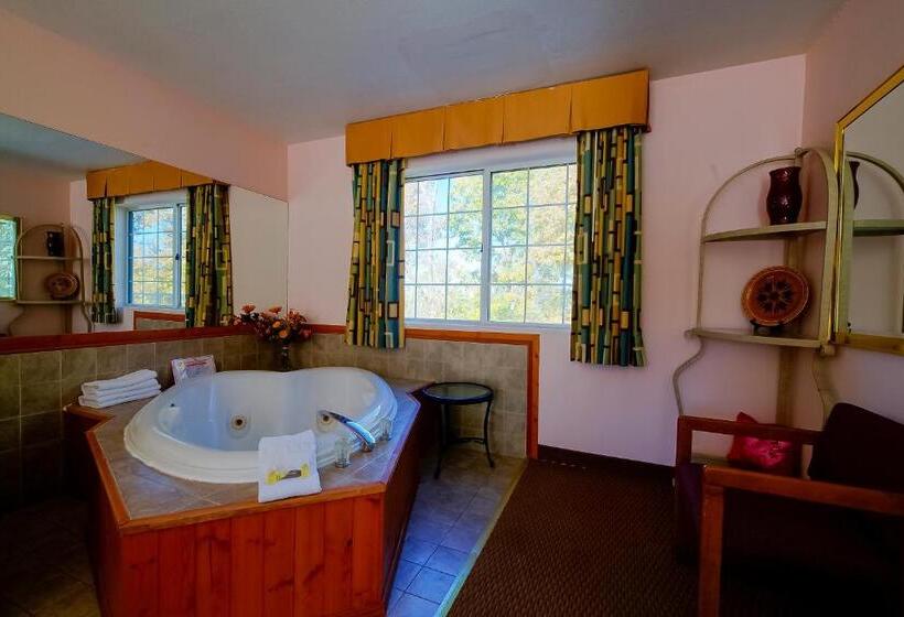 חדר פרמיום, O Eureka Springs  Christ Of Ozark Area