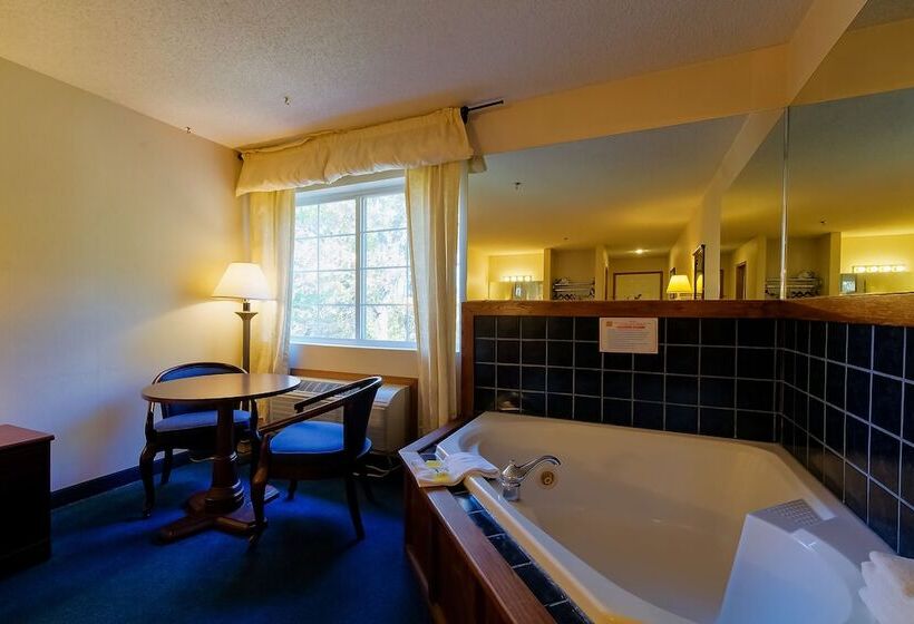 חדר פרמיום, O Eureka Springs  Christ Of Ozark Area