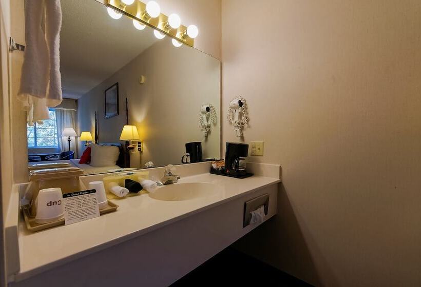 חדר פרמיום, O Eureka Springs  Christ Of Ozark Area