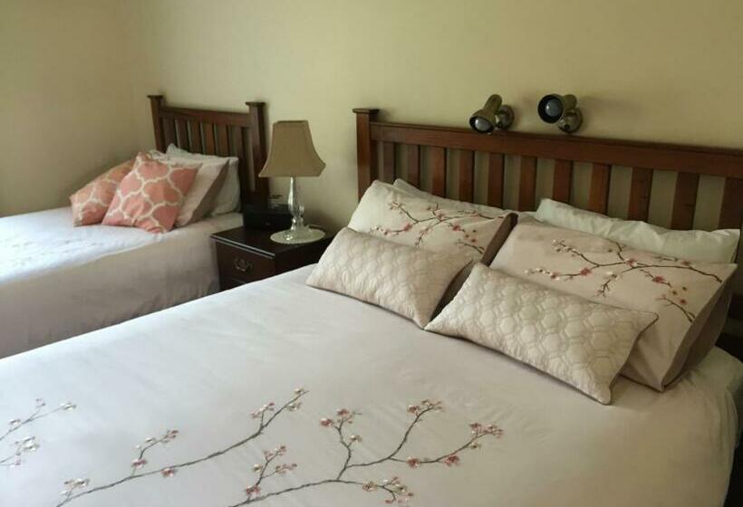 스탠다드 룸, The Noble Grape Guesthouse