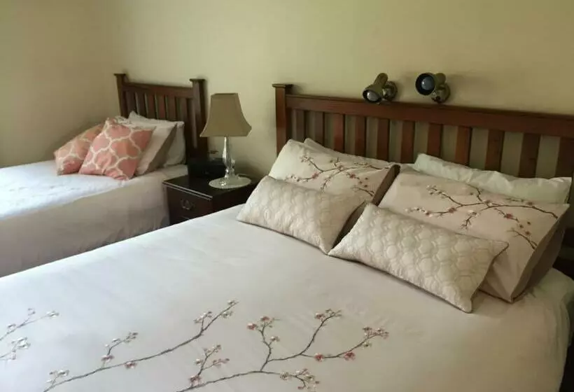 スタンダードルーム, The Noble Grape Guesthouse