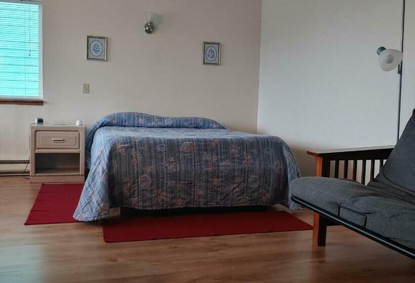 标准间, The Dublin House Motel