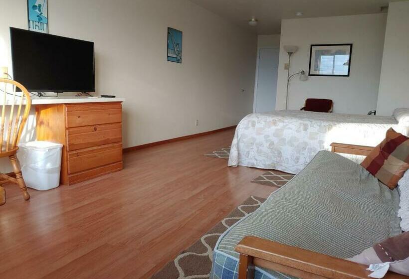 带大床的标准间, The Dublin House Motel