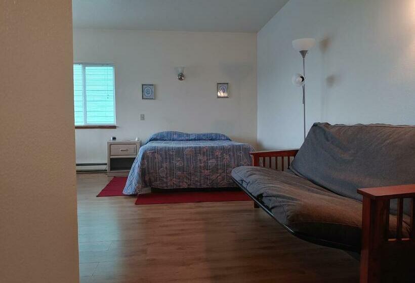 标准间, The Dublin House Motel