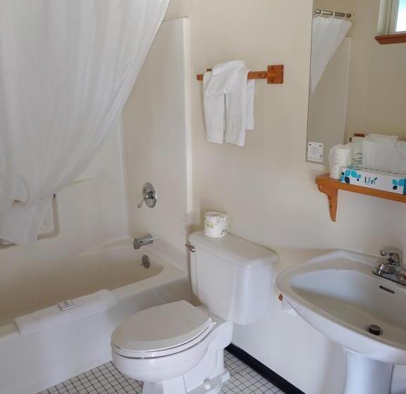 带大床的标准间, The Dublin House Motel