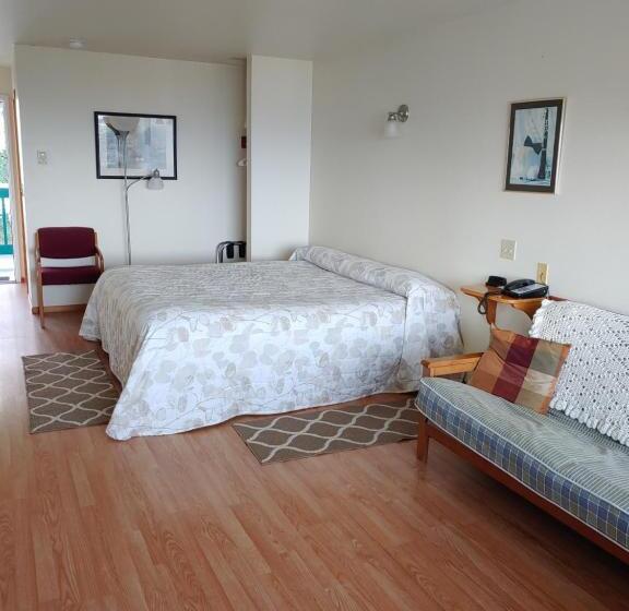 带大床的标准间, The Dublin House Motel