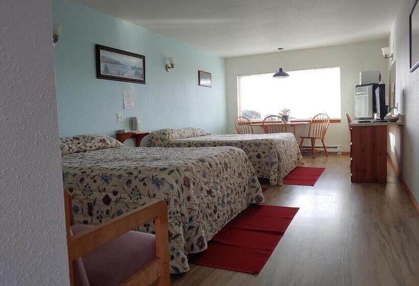 高级大房间, The Dublin House Motel