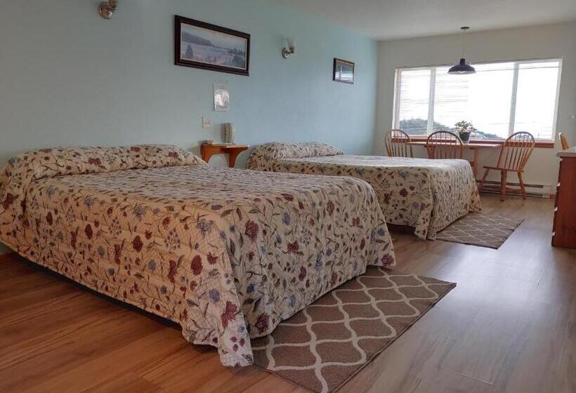 高级大房间, The Dublin House Motel