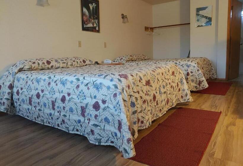 标准间, The Dublin House Motel